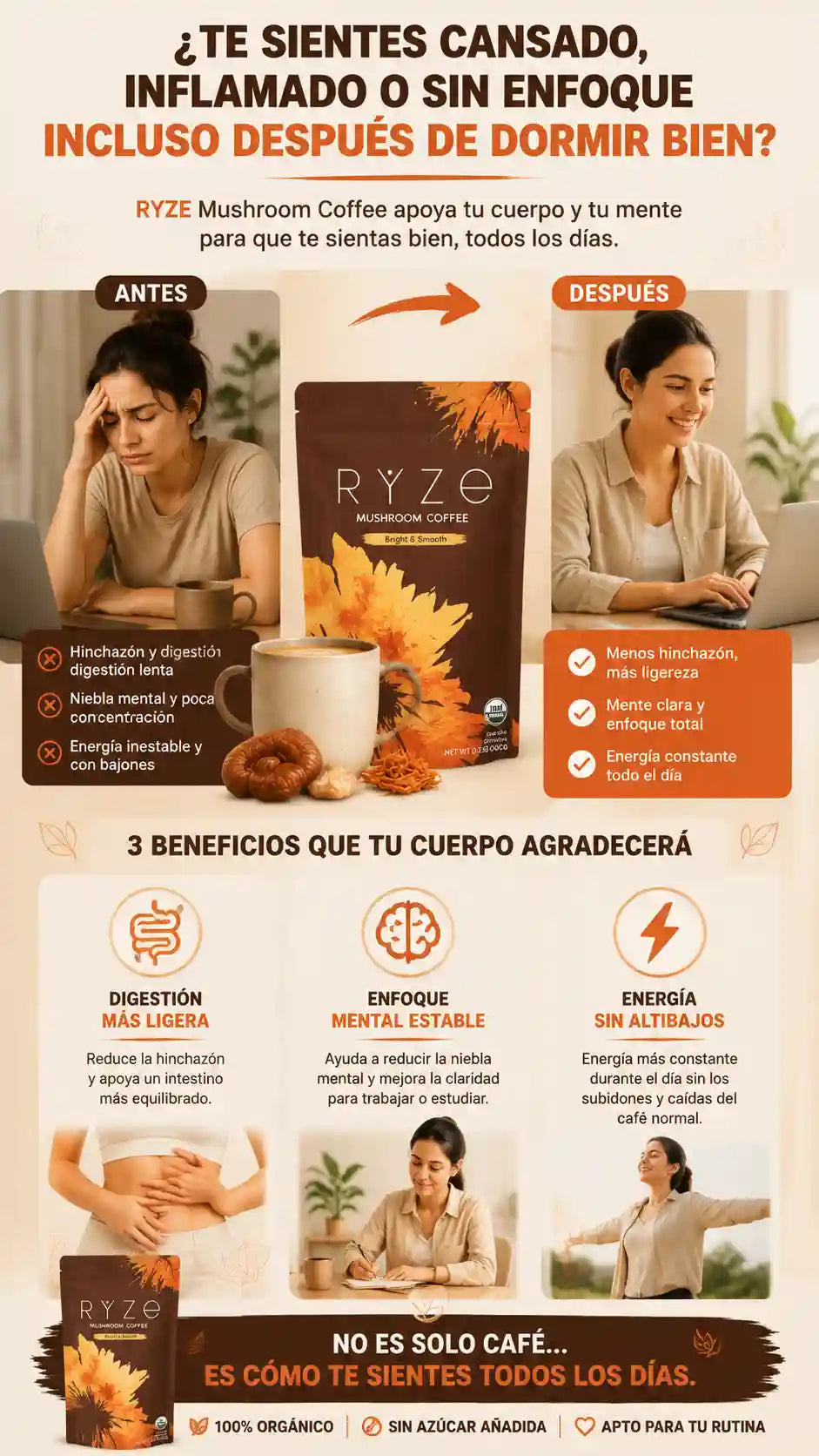 Ryzze caffe