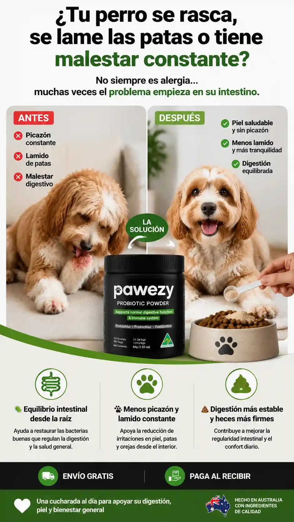 Polvo Probiótico Pawezy®- Fórmula Triple Acción -Salud Intestinal-Defensas Reforzadas
