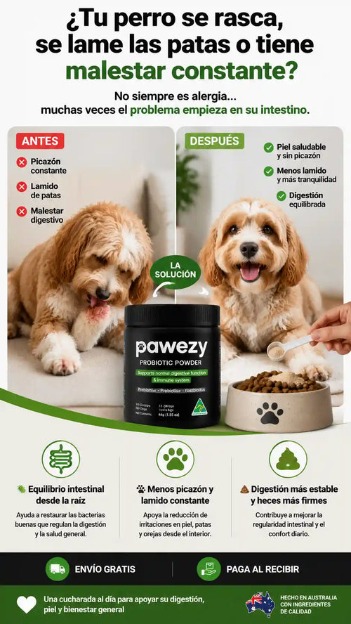 Polvo Probiótico Pawezy®- Fórmula Triple Acción -Salud Intestinal-Defensas Reforzadas