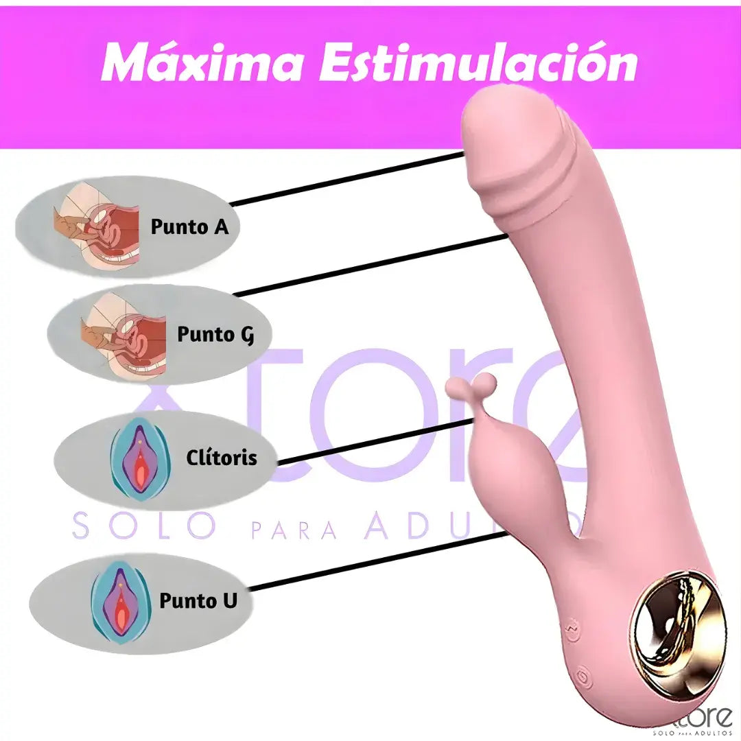 Dispositivo Reset de Lujo + 10 Ritmos Bio-adaptados + Alivio Térmico Hormonal