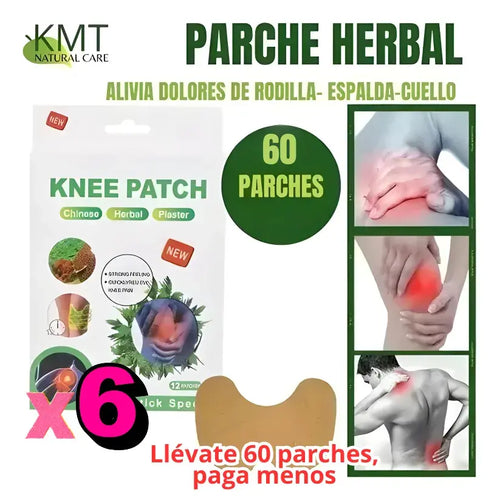 Pack Premium 60 Parches Herbales (6 cajas de 10) para alivio articular y muscular