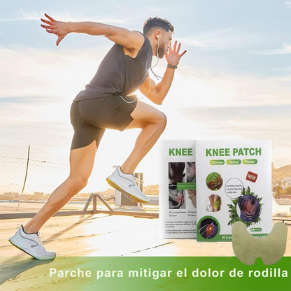 Pack Premium 60 Parches Herbales (6 cajas de 10) para alivio articular y muscular